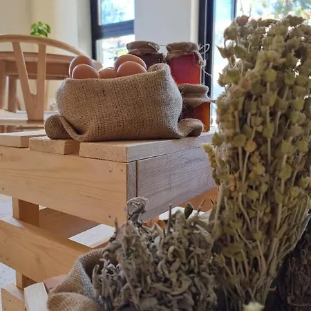 Thymises Boutique Hotel Kakopetria
