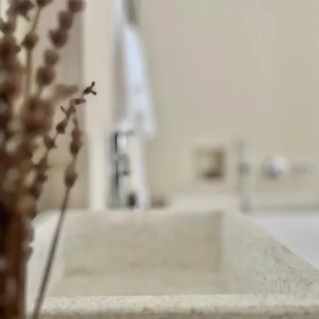 Otel Thymises Boutique Kakopetria