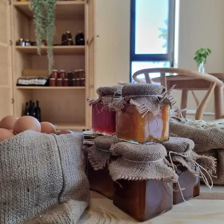 Hotel Thymises Boutique
