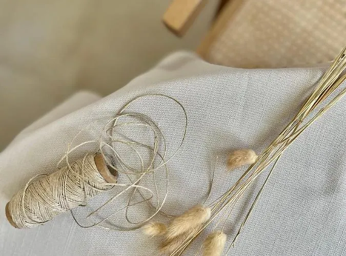 Thymises Boutique מלון *